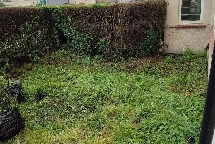 Vine Removal Service Notting Hill — Vines and overgrowth removed from the front yard of the house.